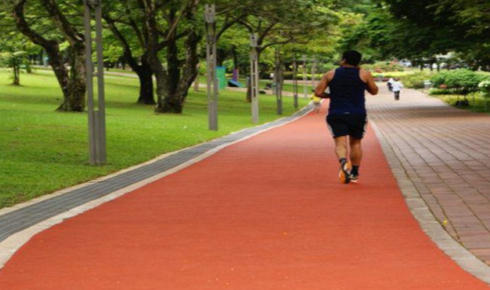 walking tracks