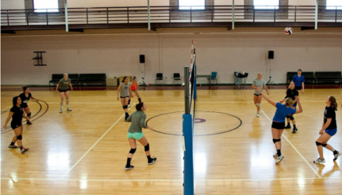 multi purpose court materials